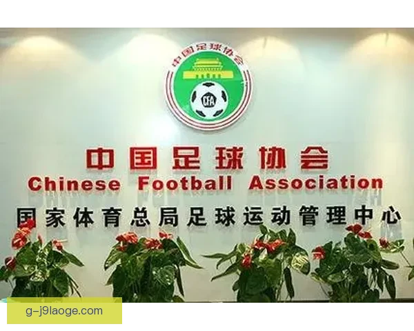 中国足协宣布进一步优化职业联赛中性名政策推动足球文化发展 中国足协宣布进一步优化职业联赛中性名政策推动足球文化发展